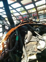 IMG_20170526_155629.jpg