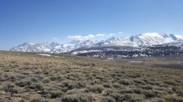 20180427_154445.jpg