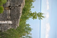 DSC_0207.jpg
