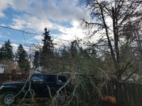 20181218_103734.jpg