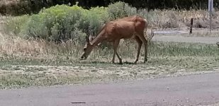 20180729_140841.jpg