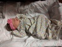 IMG_20180826_212339952.jpg