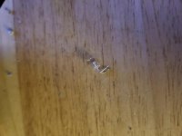 20190605_225646.jpg