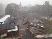IMG_0228.JPG