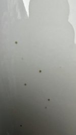 IMG_1378.jpeg