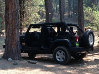 Topless in Sourgrass.jpg
