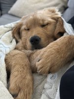 IMG_1654.jpeg