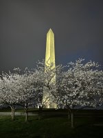 23bbd3e3-05aa-4860-a66d-5afbca19230e.jpeg