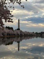 34a31711-af36-47d2-b773-34f7385abd76.jpeg