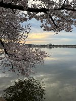 29d95bd6-336b-4a66-bf74-3816fcf3d5f8.jpeg