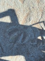 IMG_9834.jpeg