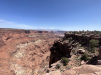 IMG_9938.jpeg
