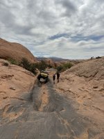 IMG_1996.jpeg