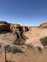 IMG_2019.jpeg