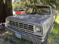 IMG_8093.jpeg