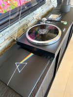 IMG_6041.jpeg