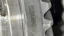 IMG_2172.jpeg