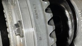 IMG_2166.jpeg