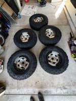 IMG_2309.jpeg