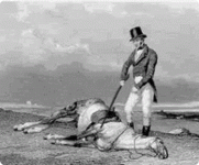 beat-a-dead-horse-.gif
