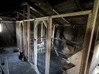 IMG_0155.jpeg