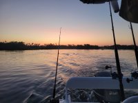 20250427_063638.jpg