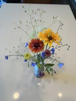 IMG_8716.jpeg