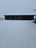 IMG_8198.jpeg