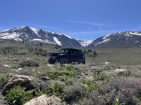 IMG_7799.JPG