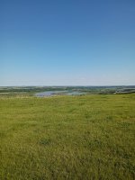 IMG_20250525_181240767.jpg