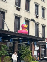 IMG_7687.jpeg