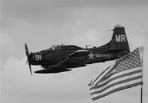 Skyraider.jpg