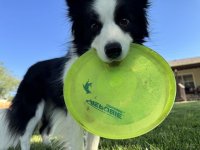IMG_2873.jpeg