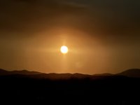 IMG_2955.jpeg