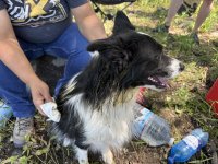 IMG_0610.jpeg