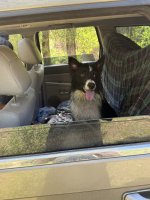 IMG_0631.jpeg