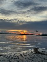 IMG_9255.jpg