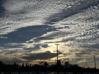 IMG_9181.jpeg