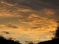 IMG_4351.jpeg