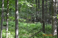 DSC_0369.jpg