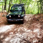 ImageUploadedByWAYALIFE1406515872.152032.jpg