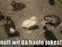 download.jpg